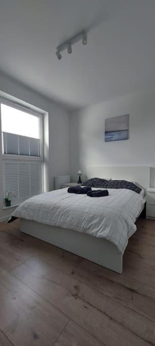 Urokliwy Apartament Baltyk Nieopodal Gdyni New Lejlighed Pogorze Eksteriør billede